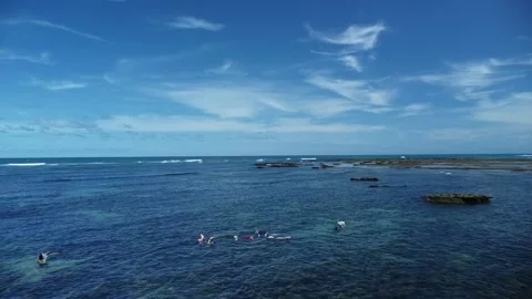 Tamar project foundation Stock Footage 238490085