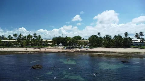 Tamar project foundation Stock Footage 238490127