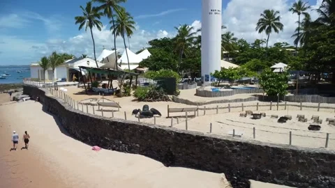 Tamar project foundation Stock Footage 238490225