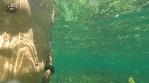 Tamar project foundation Stock Footage 238490413