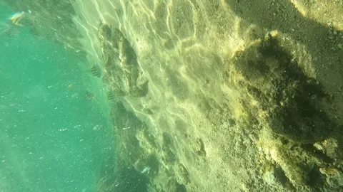 Tamar project foundation Stock Footage 238490447