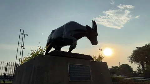 Tamaraw Statue in Rizal Park at Sunset, Manila 4K 60fps 動画素材 338400498