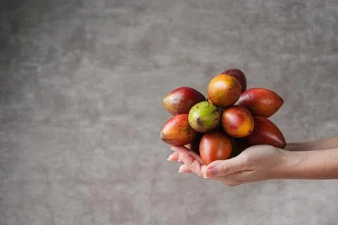Tamarillo fruit 스톡 사진