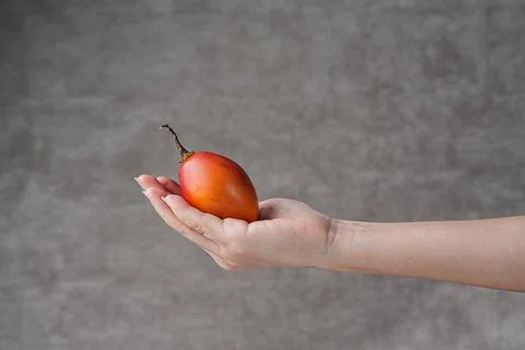 Tamarillo fruit Stock Photos