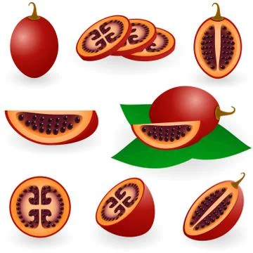 Tamarillo Stock Illustration