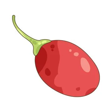 Tamarillo Stock Illustration