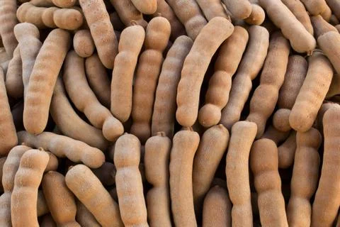 Tamarind  background Stock Photos