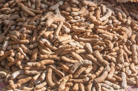 Tamarind fruit background Stock Photos