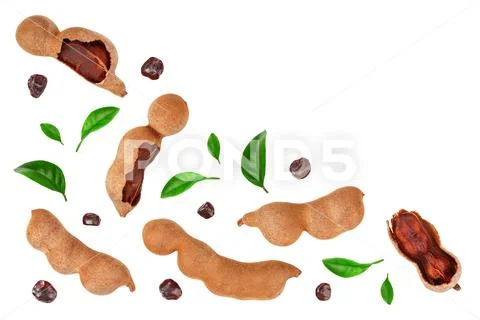 Tamarind fruit with leaf and seed isolated on white background with copy space Stock Photos