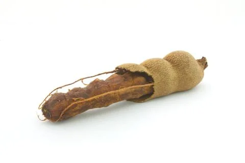 Tamarind fruit Photos