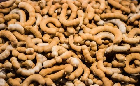 Tamarind fruit Stock Photos
