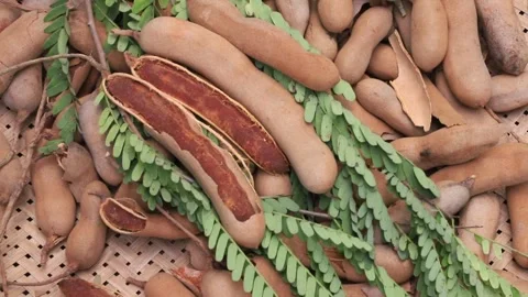 Tamarind Fruits Stock Footage 275714089
