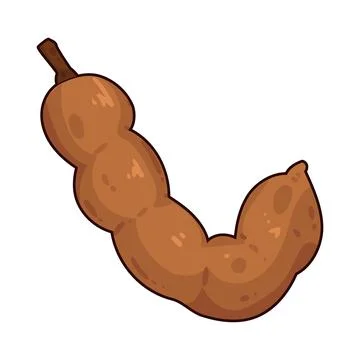 Tamarind illustration Stock Illustration