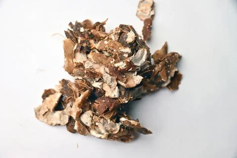Tamarind (Imli) Texture on White Background with Defocus Macro Photography .. Stock Photos