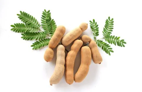 Tamarind isolated on the white background Stock Photos