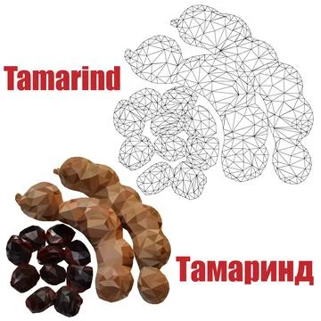 Tamarind Low Poly. Stock Illustration