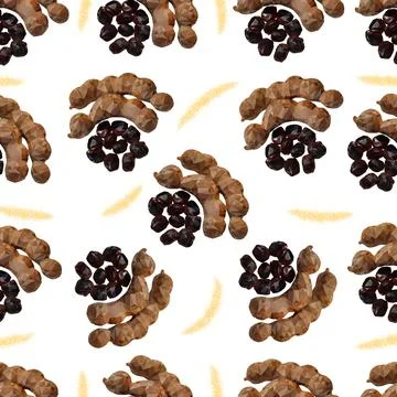 Tamarind pattern Stock Illustration