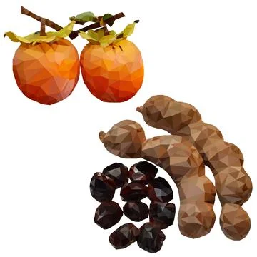 Tamarind, Persimmon Stock Illustration