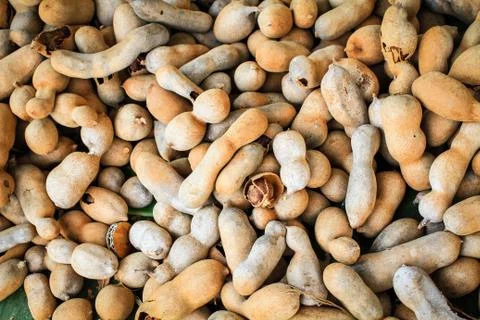 Tamarind Stock Photos
