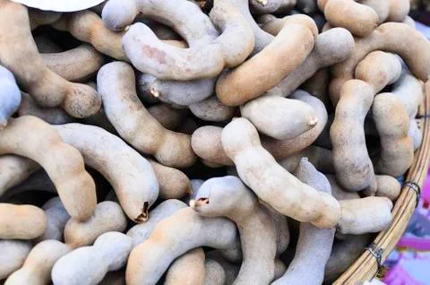 Tamarind Stock Photos