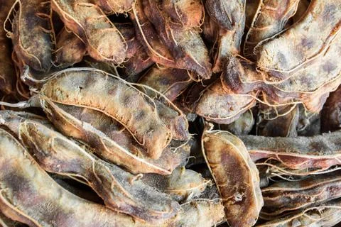 Tamarind Stock Photos