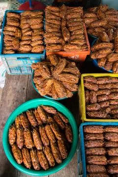 Tamarind Stock Photos