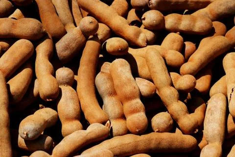 Tamarind Stock Photos