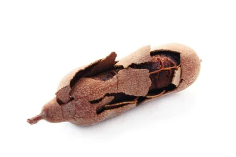 Tamarind Stock Photos