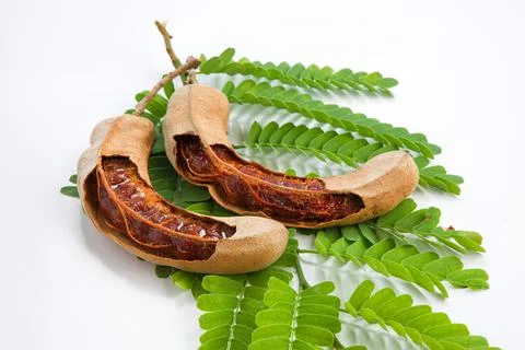 Tamarind Stock Photos