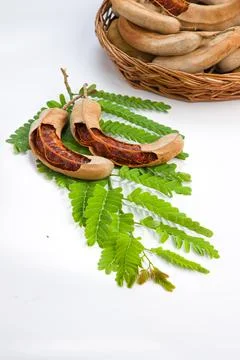 Tamarind Stock Photos