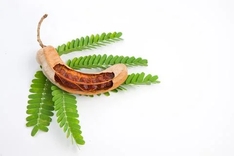 Tamarind Stock Photos