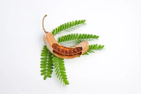 Tamarind Stock Photos