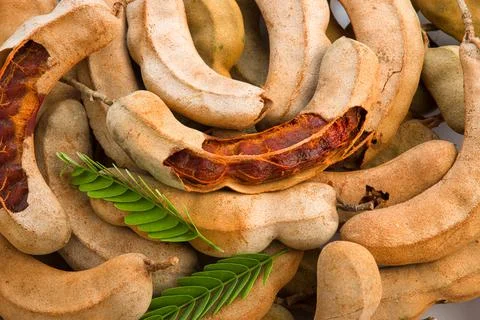 Tamarind Stock Photos