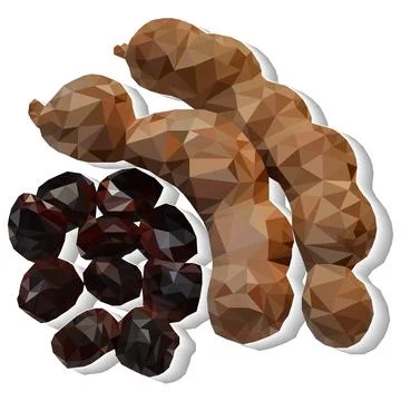 Tamarind plant. Stock Illustration
