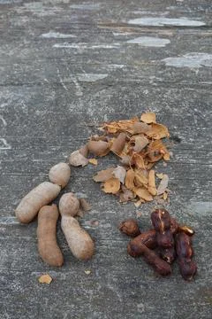 Tamarind pods with shell and pulp on a rustic wooden surface, showing raw f.. Stock Photos