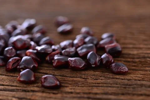 Tamarind seed Stock Photos