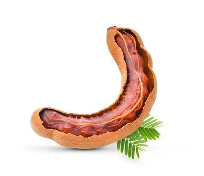 Tamarind on white background . full depth of field Stock Photos