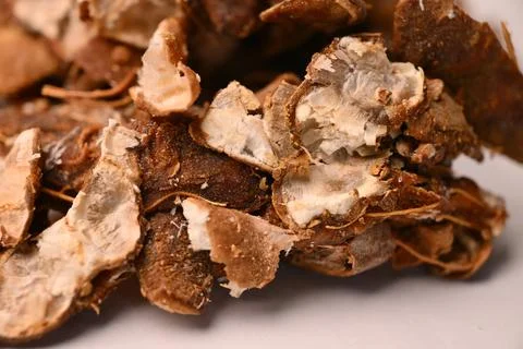 Tamarind on White Defocus Background Macro Food Photography Stock Photos