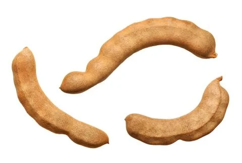 Tamarinds isolated Stock Photos