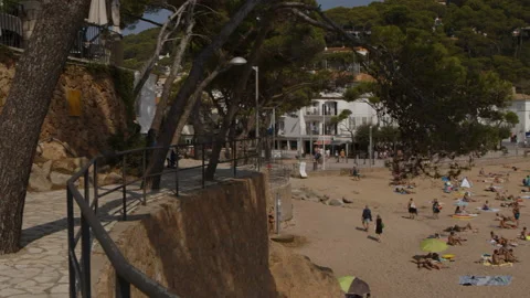 Tamariu Stock Footage 167748503