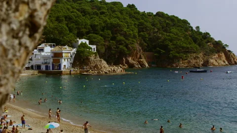 Tamariu Stock Footage 167748594