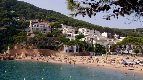 Tamariu Stock Footage 167748647