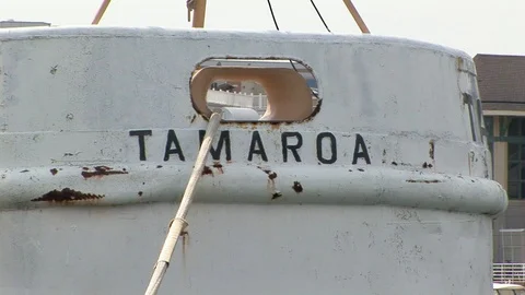 Tamaroa Tug Stock Footage 93048452