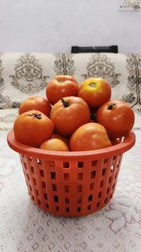 Tamater Stock Photos