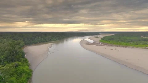 Tambopata River Flowing Through Amazon Rainforest in Peru, Aerial Landscape Stock Footage 314318728