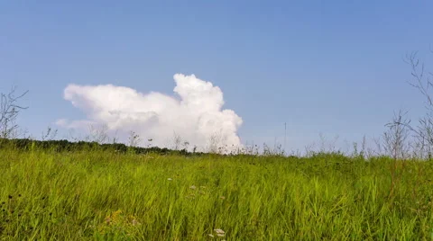 Tame laps. The cloud floats down the hill. Stock Footage 65437635