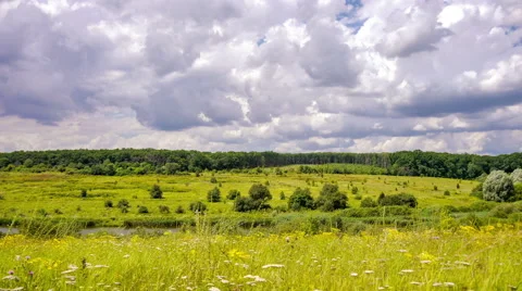 Tame laps. Clouds float over the field, forest and river. Summer. Stock Footage 65437524