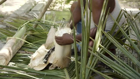 Tamil farmer cutting coconut tree in a village in Thanjavur, Tamil Nadu 库存影片 154912208