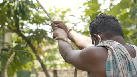 Tamil farmer cutting coconut tree in a village in Nagapattinam, Tamil Nadu Stock Footage 154916121