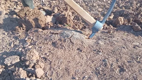 Taming the Earth Breaking Ground with Grit Stock Footage 271134474